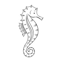 Vector illustration of a seahorse isolated on a white background. Coloring Pages. Coloring Book for adults and children. Antistress freehand sketch drawing with doodle and zentangle elements.