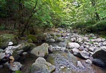 Naklejka na ściany i meble 日本の渓流釣り、熊本県の阿蘇山から流れ出る菊池川源流域での渓流釣り、