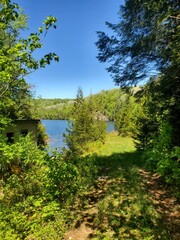 river in the forest