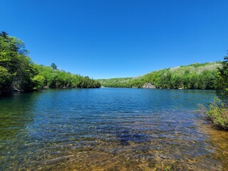 Lost lake in the forest