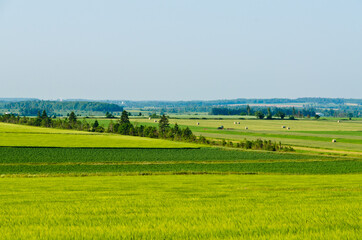 View of fields and forests