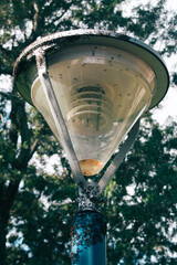 neglected street lamp full of black wasps during the day