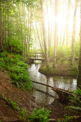hiking trail, wooden stairs, creek bridge in a park on Vancouver Island
