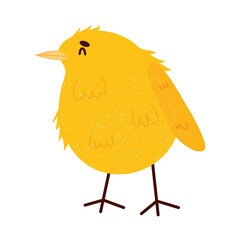 yellow chick icon