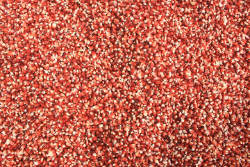 detail of red corn kernels with artistic abstract pattern. more beautiful with sharp details.