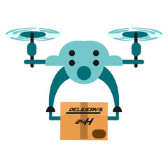 Isolated delivery drone with a package