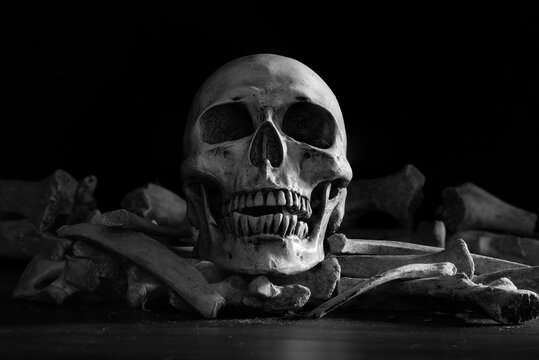 Old skull put on pile of bone on dark ground and black background in morgue,