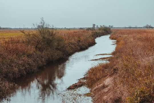 Small stream full of dry grasses in Argentine Pampean plain