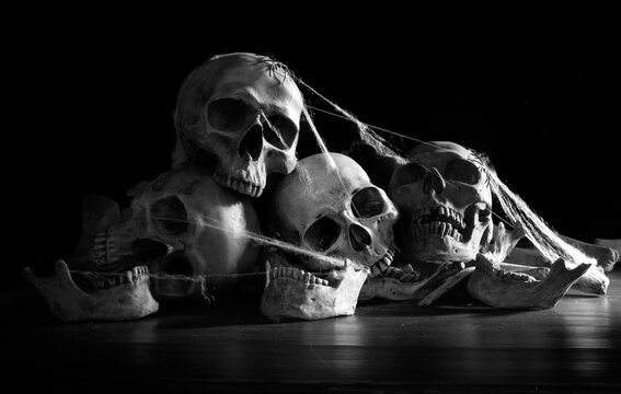 Old skulls put on pile of bone on dark ground and black background in morgue and cobweb,