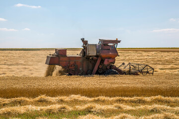 Obraz premium Harvesting wheat with agricultural machinery in the field
