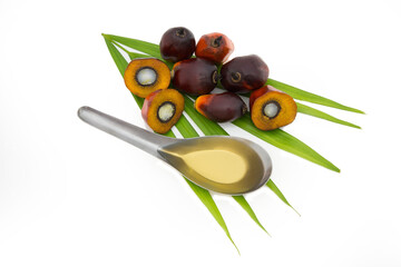 Commercial palm oil cultivation. Since palm oil contains more saturated fats its use in food. Oil from Elaeis guineensis is also used as biofuel. It is used as a cooking and in packed food products