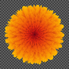 Vector illustration of a flower of a dandelion, yellow orange color