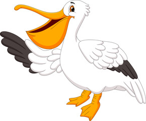 pelican bird cartoon on white background