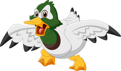 cute duck cartoon on white background