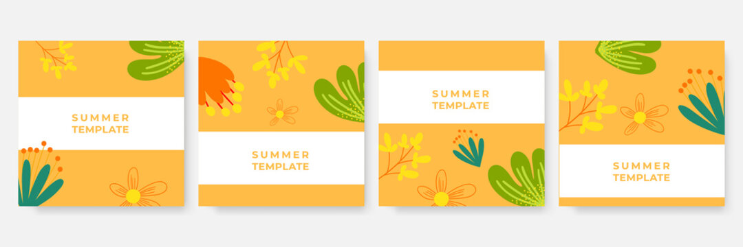 Colorful floral flower leaves abstract background with post stories social media template. Cute set of Summer Spring Flowers vertical banners