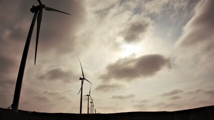 Landscape in wind power plant.