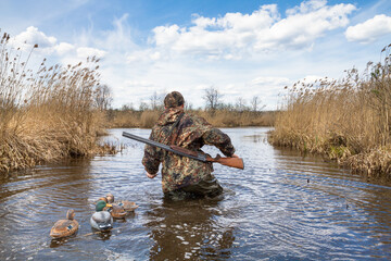 waterfowler walks on lake with plastic duck decoys