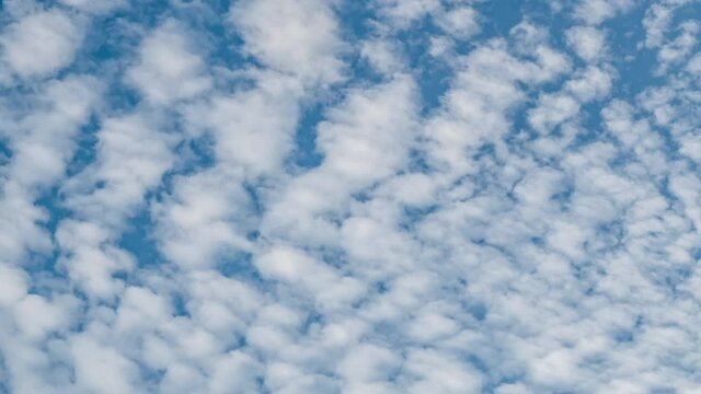 Time lapse of Altocumulus Floccus Clouds moving on blue sky