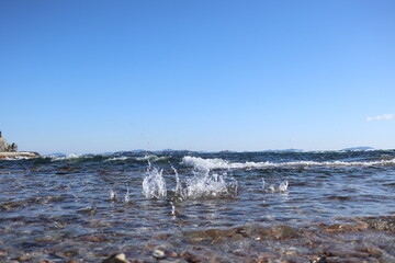 海