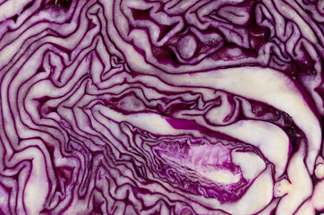 Obraz premium Purple cabbage texture closeup, flat lay. Cut of head cabbage. Summer food background.