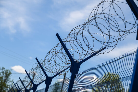 Barbed wire with round branches hangs on an iron fence with blue supports against a blue sky.