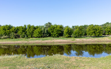 A small river flows smoothly on a clear summer day. On the  opposite bank, there  was a thicket of bushes.