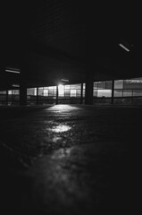 Sunlight on the ground