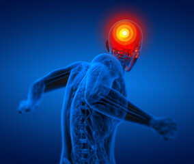 3d render medical illustration of the skull © maya2008