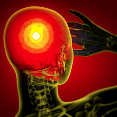 3d render medical illustration of the skull © maya2008