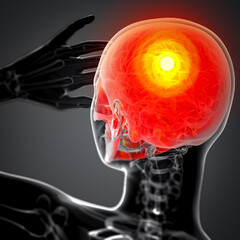 3d render medical illustration of the skull © maya2008