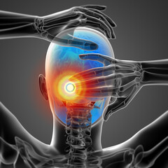 3d render medical illustration of the skull © maya2008