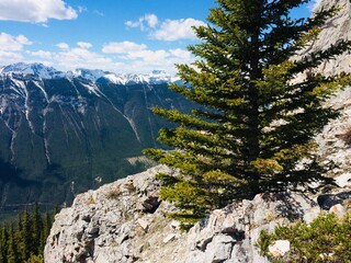 Mount Rundle spine spectacular unspoiled scenery