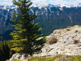 Mount Rundle spine spectacular unspoiled scenery