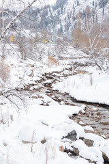winter landscape with a wide mountain river