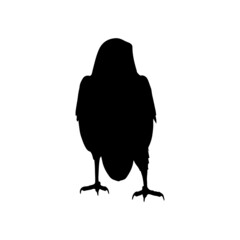vector black silhouette of crow on the white background, silhouette of crows