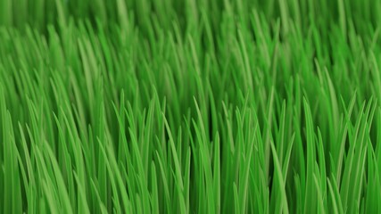 3D Rendering of grass leaves with depth of field effect. For green nature background