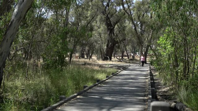 Beautiful blonde woman walking towards camera in nature on bridge footpath