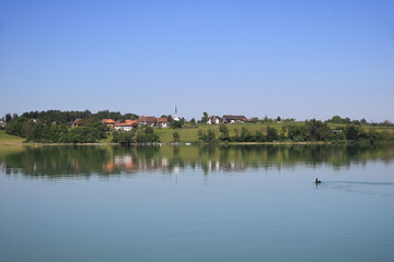 Dream like summer morning at the shore of Lake Pfaffikon, Zurich Canton.