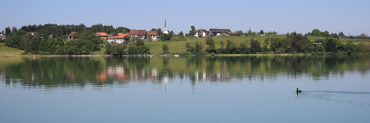 Fototapeta na wymiar Dream like summer morning at the shore of Lake Pfaffikon, Pfaeffikon. View of Seegraben, Seegraeben.