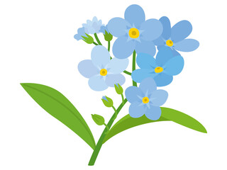 青色の勿忘草の花