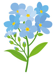青色の勿忘草の花
