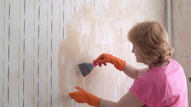 An adult woman takes off the wallpaper works with a spatula in the room. Woman removing old wallpaper from walls preparing for flat renovation. Interior design and home renovation concept