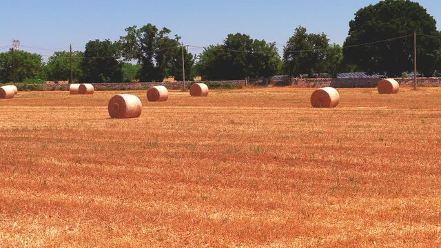Campagna con balle di fieno