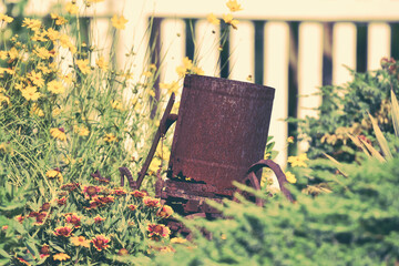 fence and grass rusty metal equipment in garden