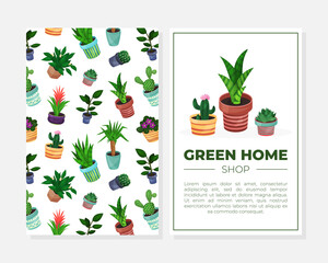 Cover Design with Houseplant in Ceramic Pots Growing Indoors Vector Template