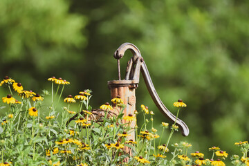 watering can with flowers rusty water pump 