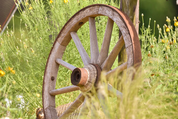 old wagon wheel and mexican grass blowing in the wind