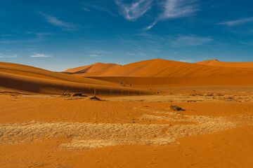 Fototapeta na wymiar People at the way to Deadvlei, landscape with large orange sand dunes at Sossusvlei