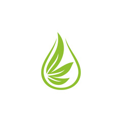 Creative Cannabis Leaf And Hemp Oil Vector Logo Icon template for CBD Cannabidiol Cannabis Hemp Marijuana Medical Pharmaceutical Industry And Bussiness Company