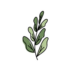Vector illustration of leaves with outline. Hand drawn leaf logo symbol.
